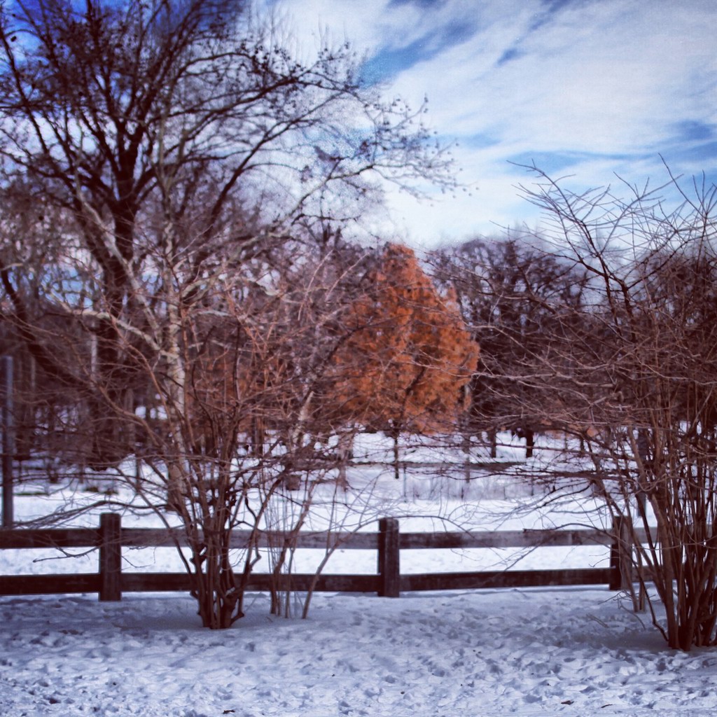 雪停了，太阳出来了~正点