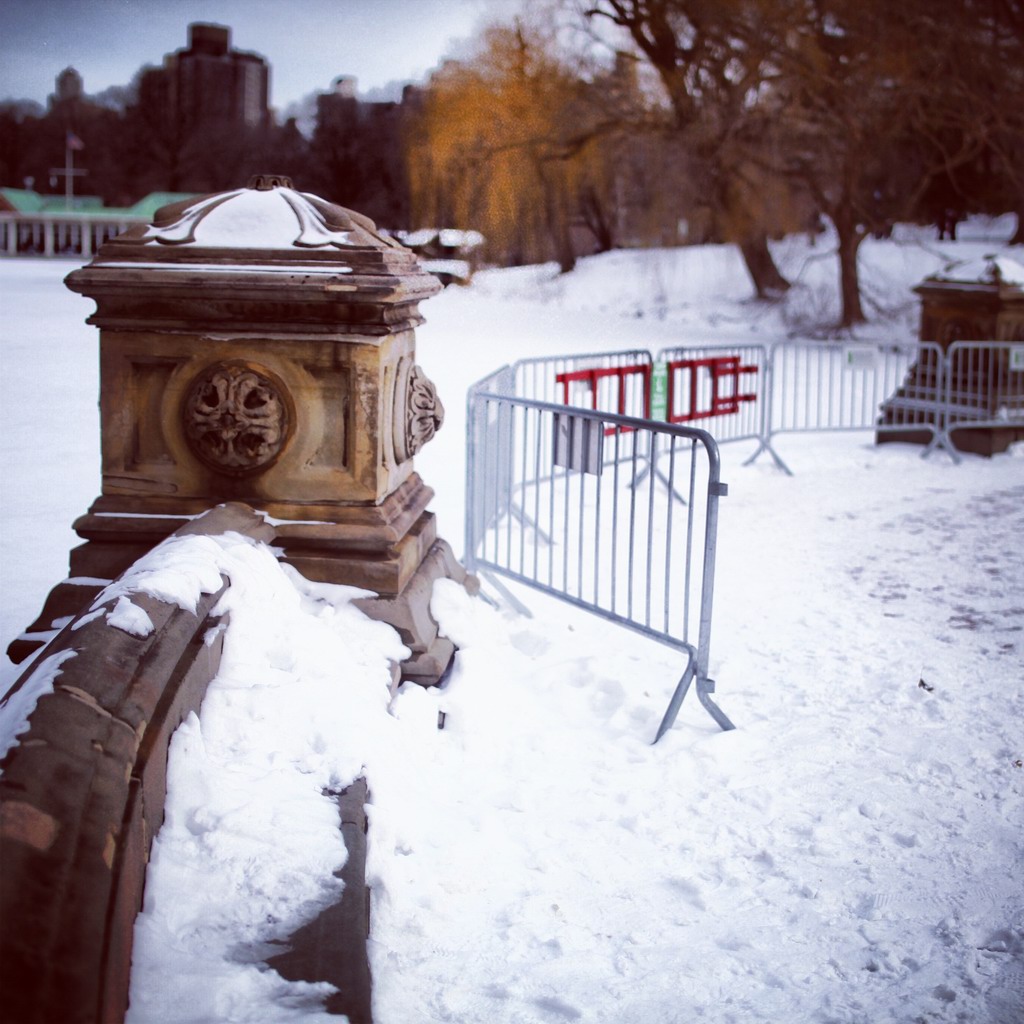 总算在这黑白的世界里找到一点色彩了