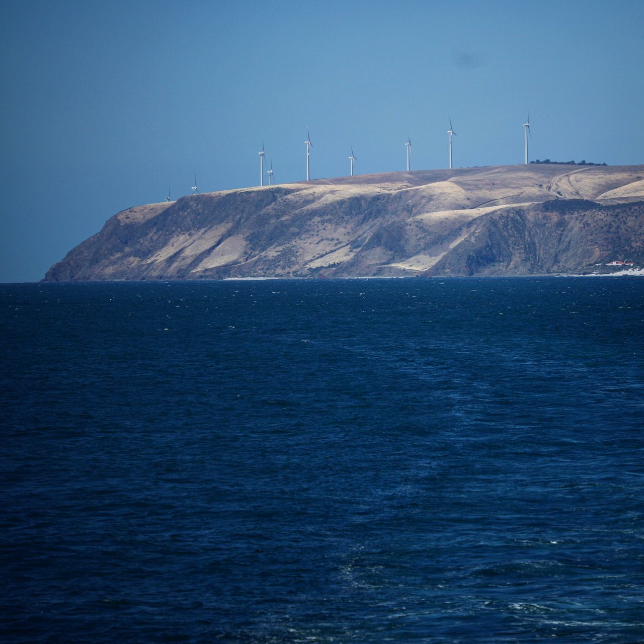 对，已经上船去袋鼠岛的路上了