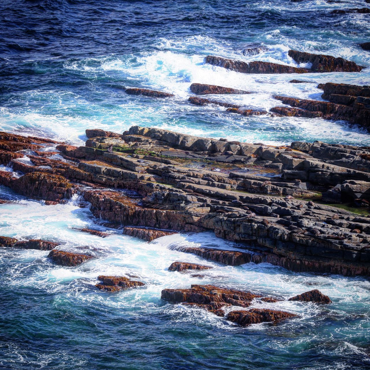 又是海边的刀片岩