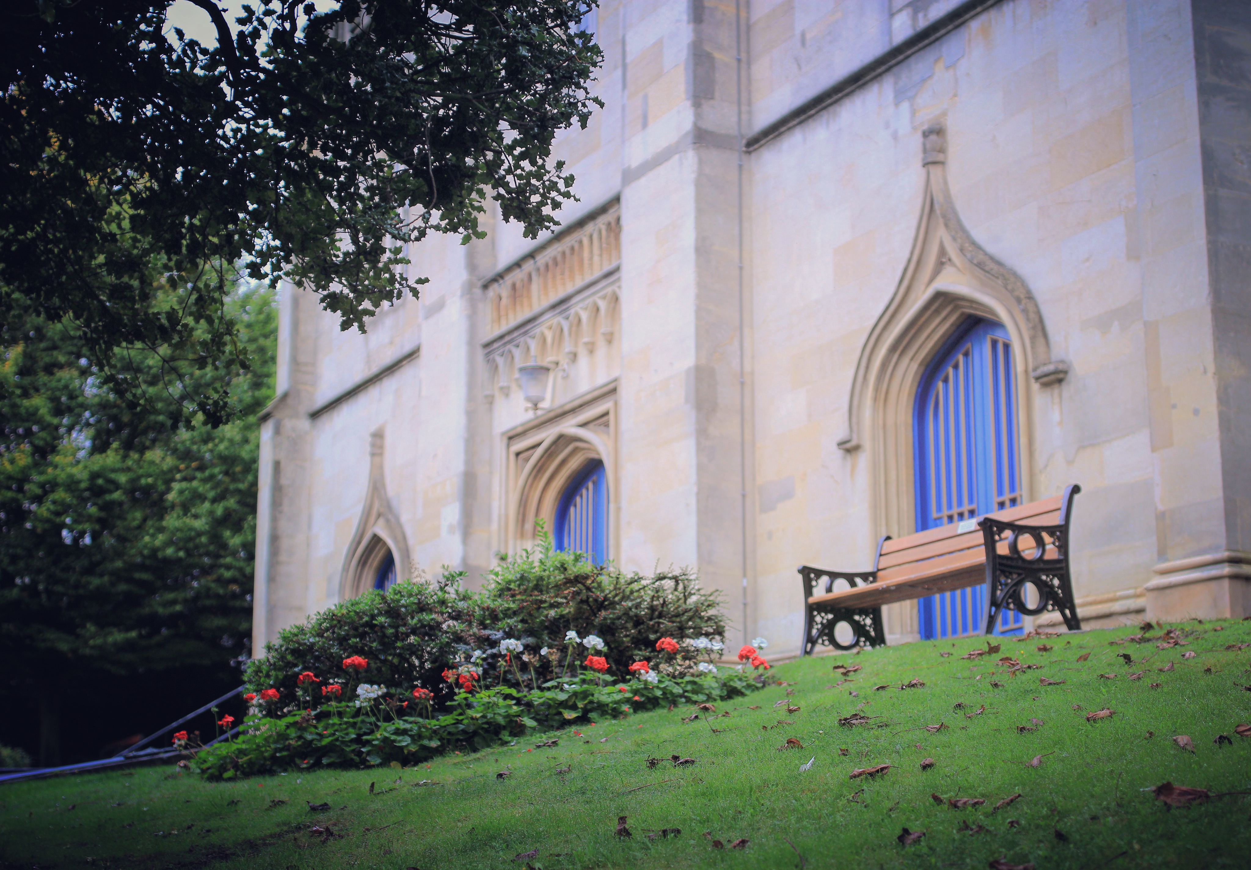 如果天晴的话，这里应该是一个很适合看（wan）报（shou）纸（ji）的地方