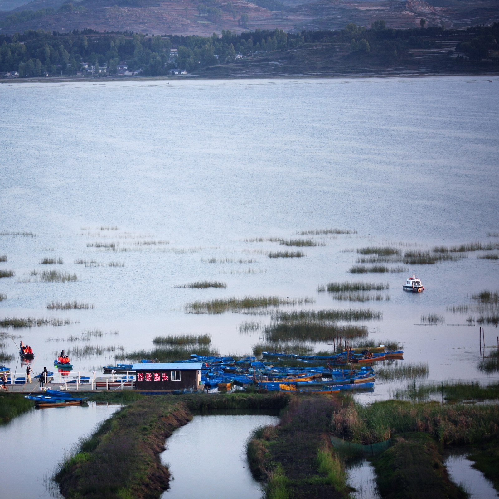 草海的第一眼，可能来得不是季节，只见到了海，没见几颗草