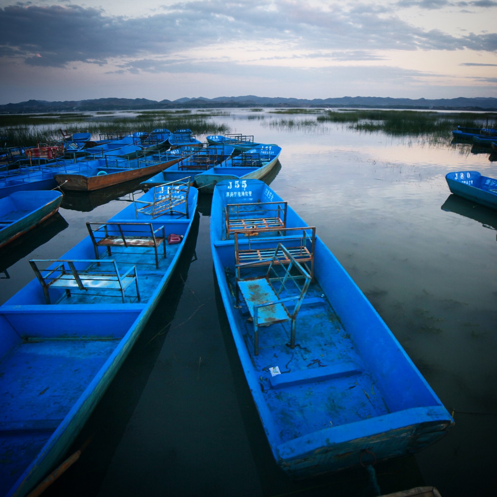 也罢，草没太多可拍，就拍拍游船吧