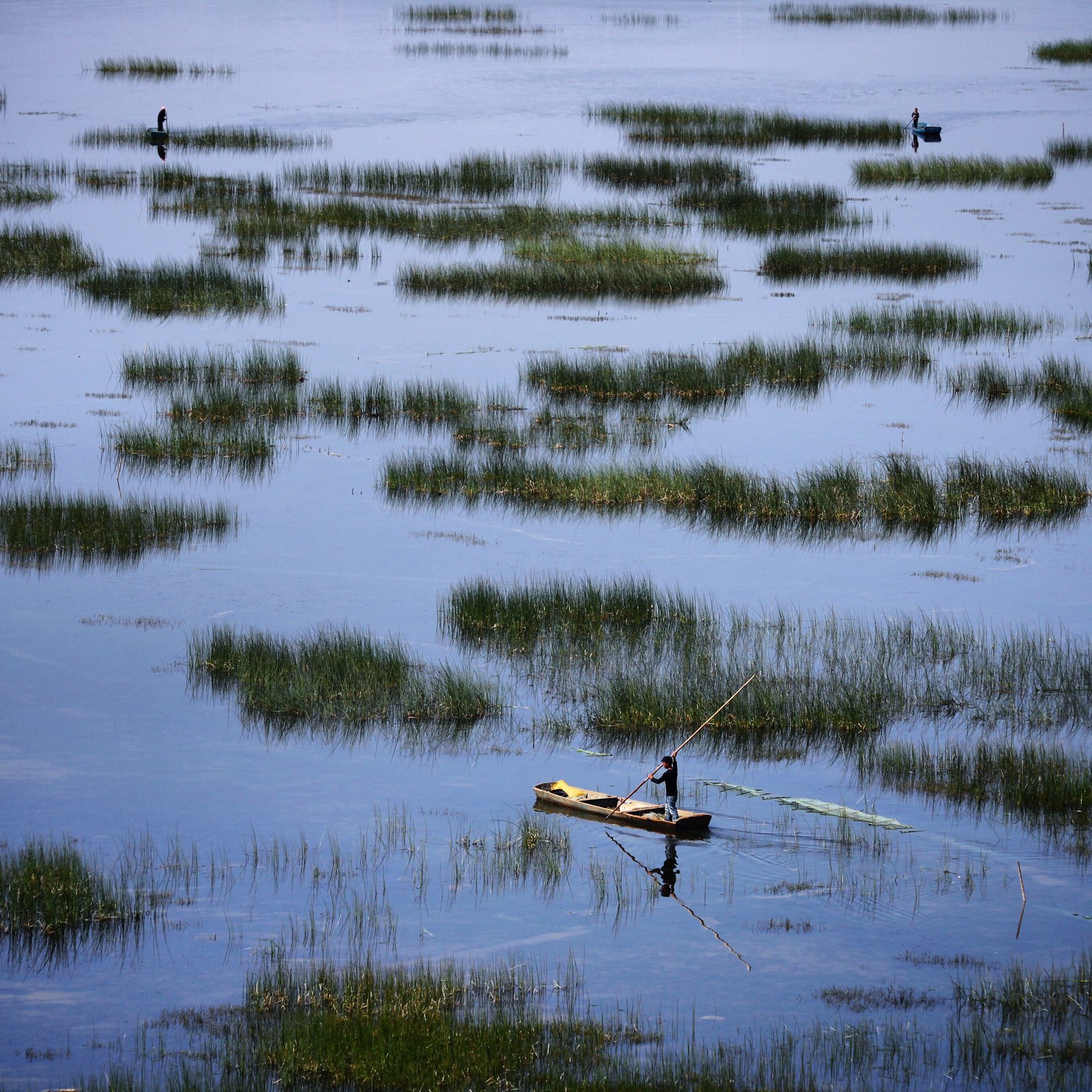 相信这里的河鲜应该会超级的美味