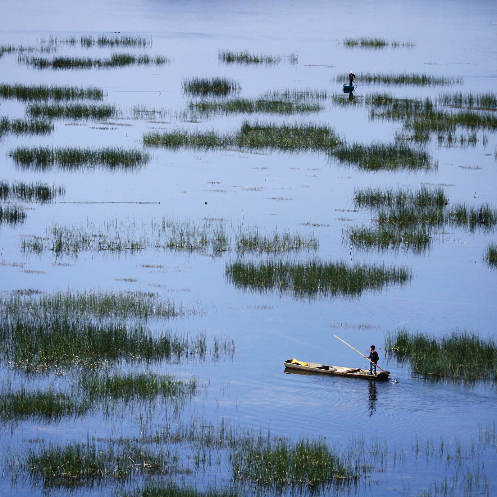 如果草再茂盛点的话~~
