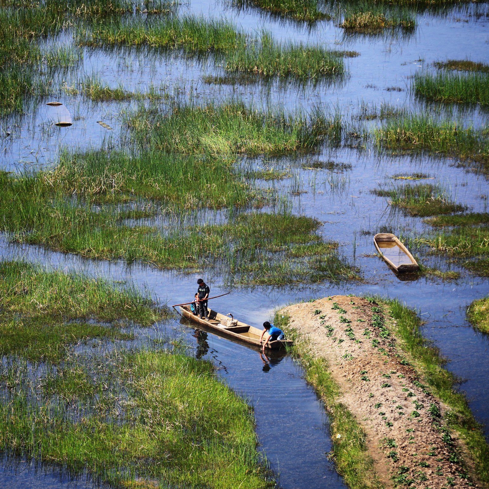阳光出来了~~蓝色海，绿色的草~~正点啊