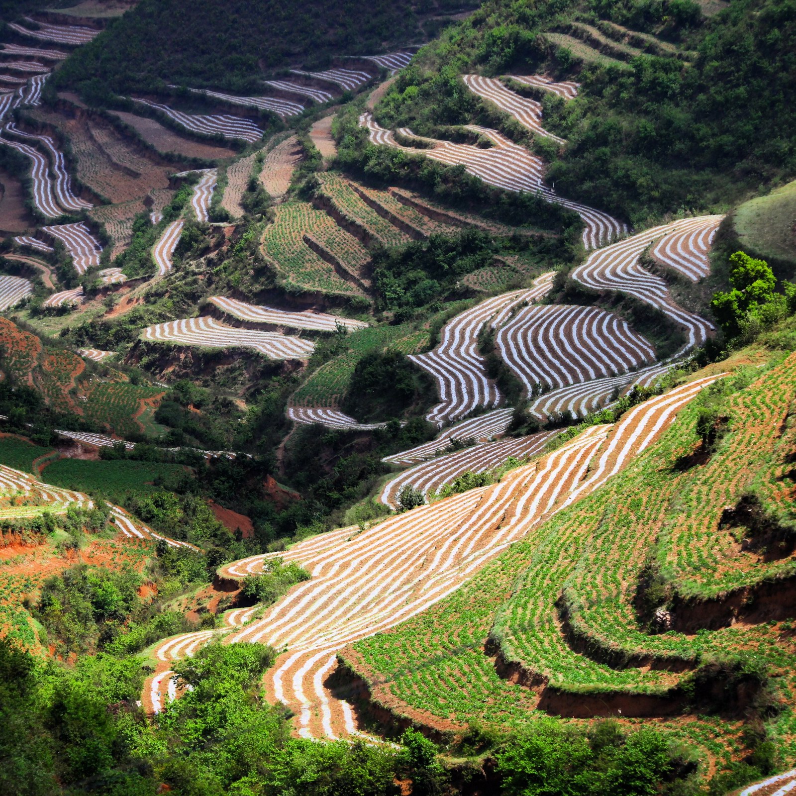 马摆大山位于贵州省威宁彝族回族苗族自治县麻乍乡境内，距县城40公里，主峰海拔2763米，山顶平缓，东西宽5.8公 里，南北长7公里，面积约40平方公里。