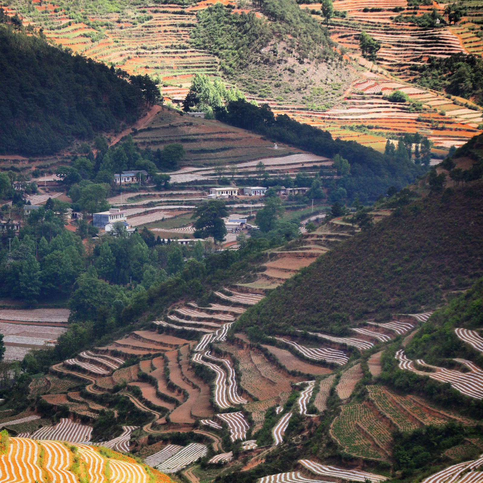 马摆大山风光奇异独特，是一座具有复合型景观的高山大草原。大山上有草坪、草坡、山梁、峡谷、海子等风光。
