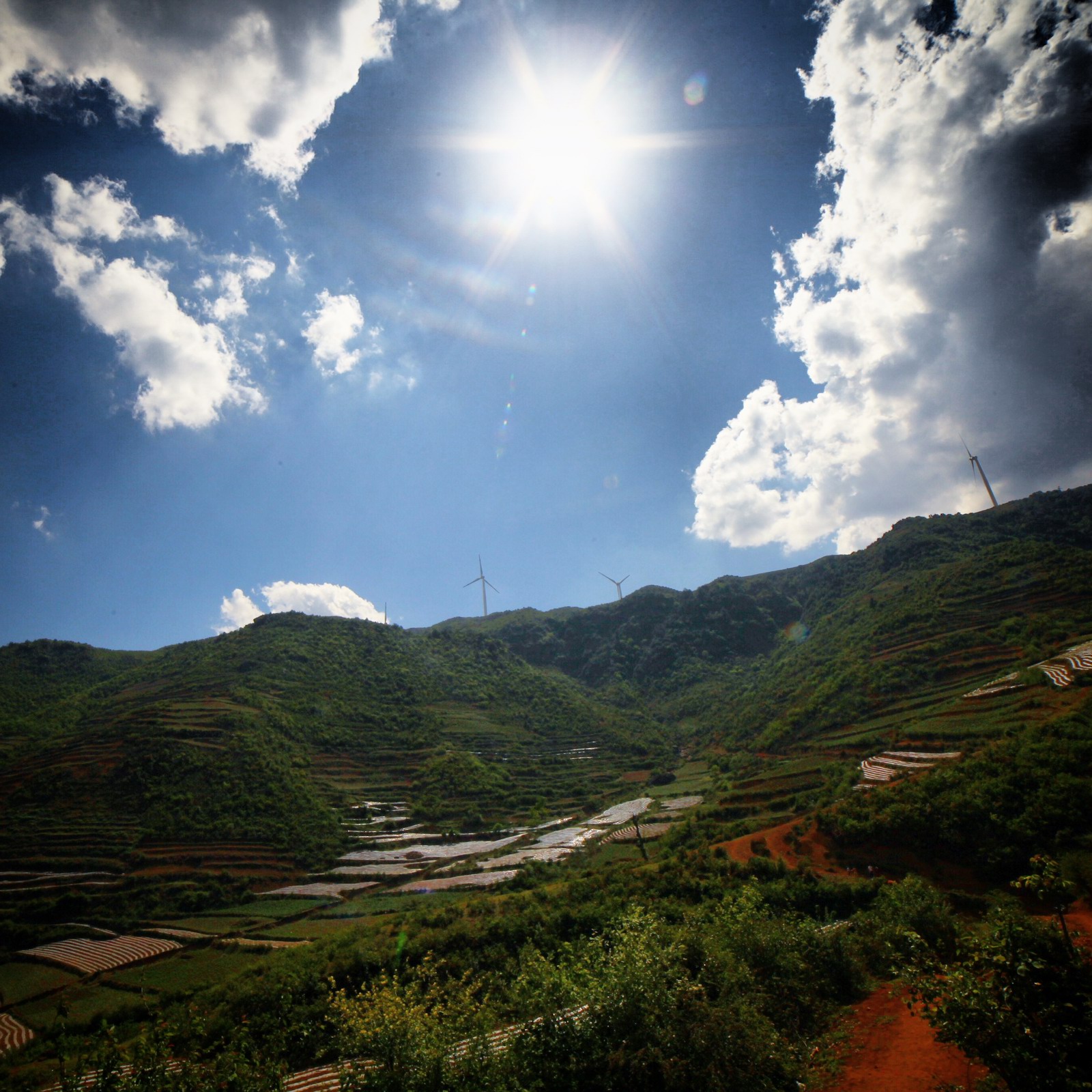 给力的阳光，差点没给晒死