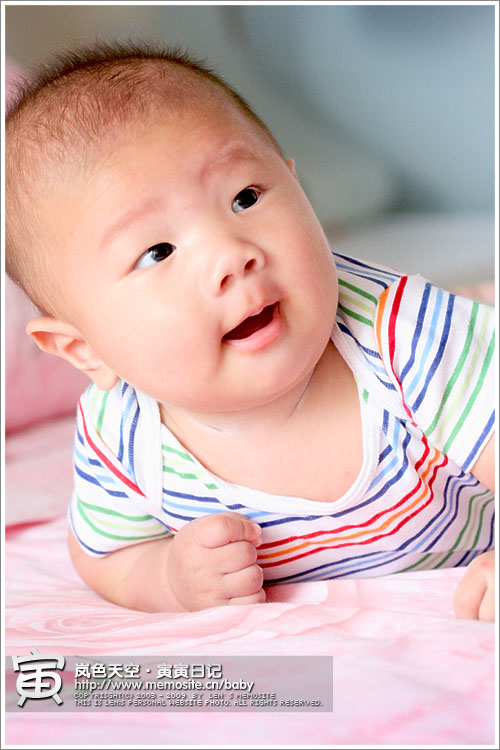 经过三个多月的成长，寅寅的脖子可以抬的很高了