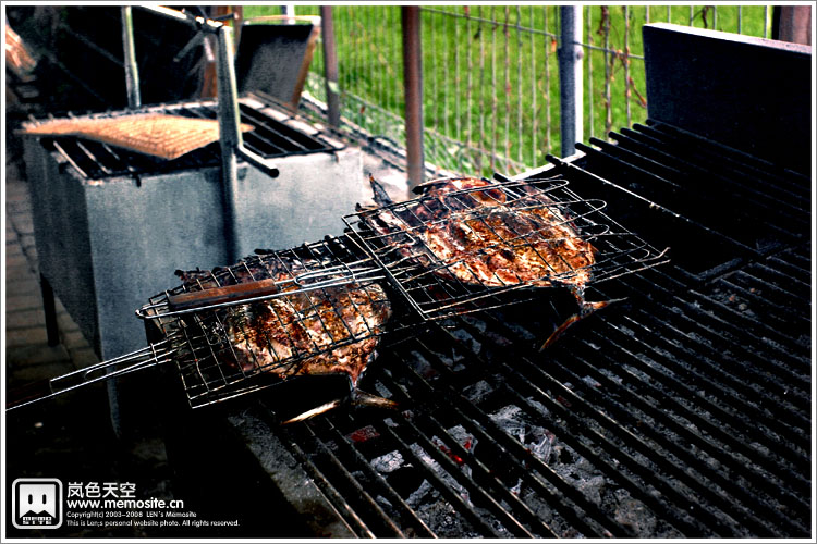 当地主要以烧烤为主，这类的烧鱼挺常见的