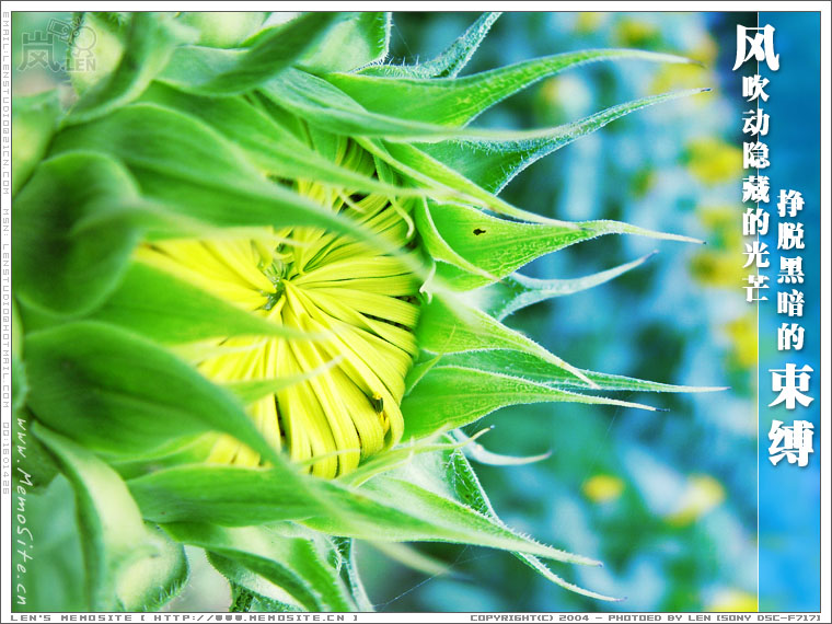风吹动隐藏的光芒，挣脱黑暗的束缚