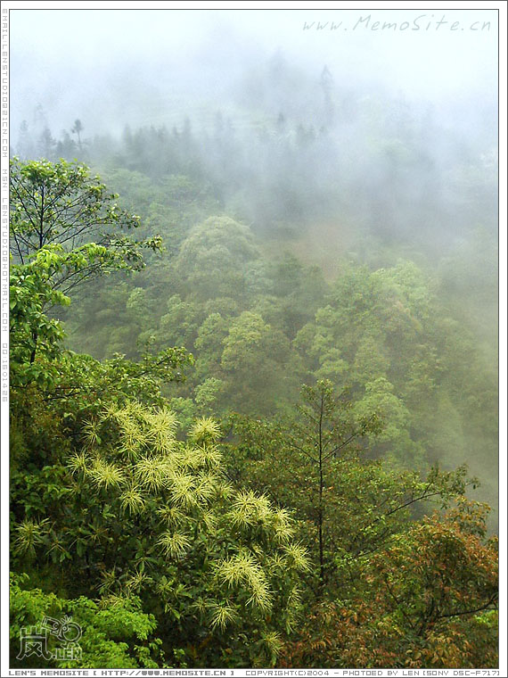 雾色渐渐退隐，我们也开始出发了。
