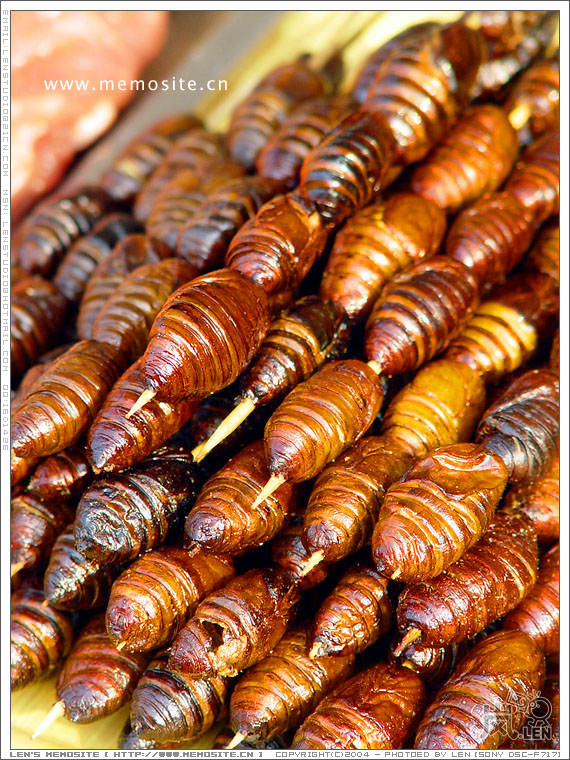 这些蚕蛹，都是肥肥白白的。试了下，感受到何谓高蛋白了！