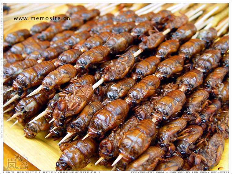 想不明白从哪里弄来的，当你咬下去的时候，真的需要点时间去思考思考