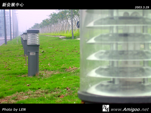 寂静的路灯在新绿中等待黄昏的来临